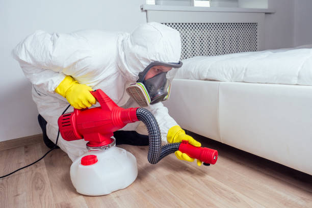 Best Pest Inspection Near Me  in St Johns, MI