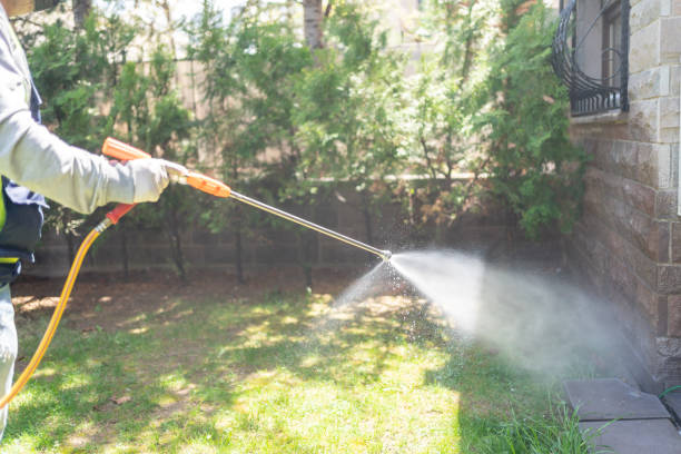 Best Flea Control Services  in St Johns, MI