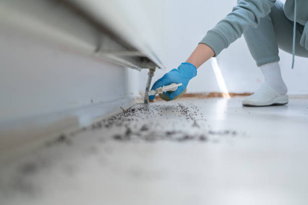 Best Pest Prevention Services  in St Johns, MI